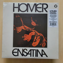 Load image into Gallery viewer, Homer – Ensatina
