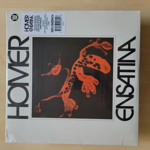 Homer – Ensatina