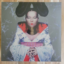 Load image into Gallery viewer, Björk – Homogenic
