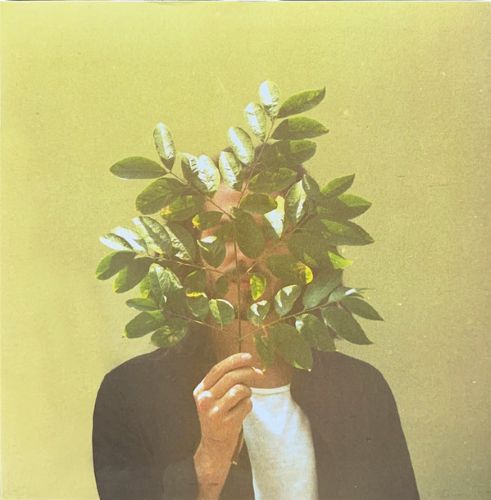 FKJ – French Kiwi Juice