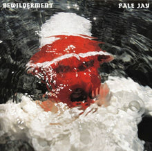 Load image into Gallery viewer, Pale Jay – Bewilderment (Opaque Red)
