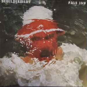 Pale Jay ‎– Bewilderment