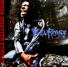 Load image into Gallery viewer, Busta Rhymes – When Disaster Strikes...
