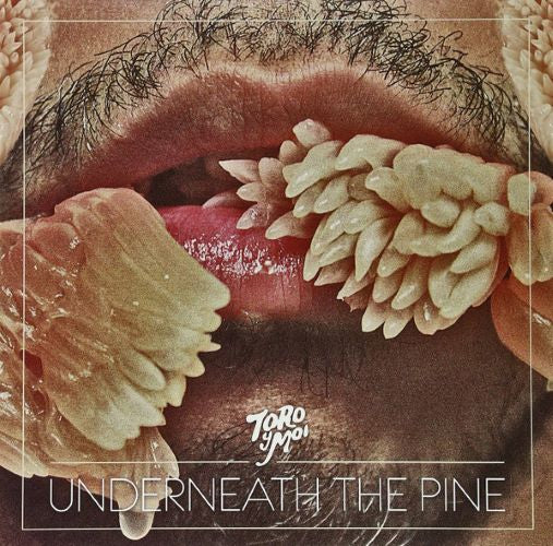 Toro Y Moi – Underneath The Pine